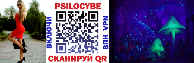 Псилоцибиновые грибы Cubensis  Березники 